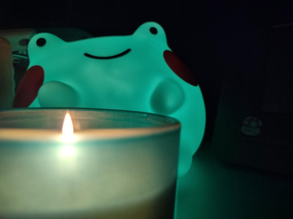 Big Ebbo Frog Night Light - Customer Photo From Sara Dukellis