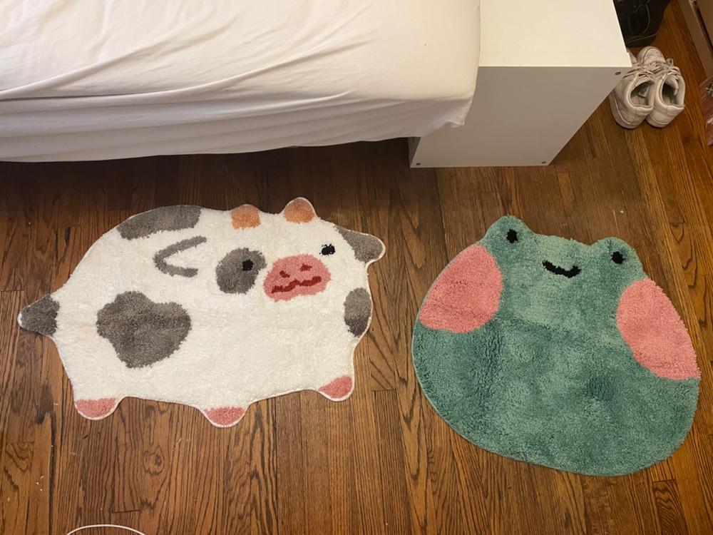 Ebbo Frog Rug - Customer Photo From Jordan Mysliwiec