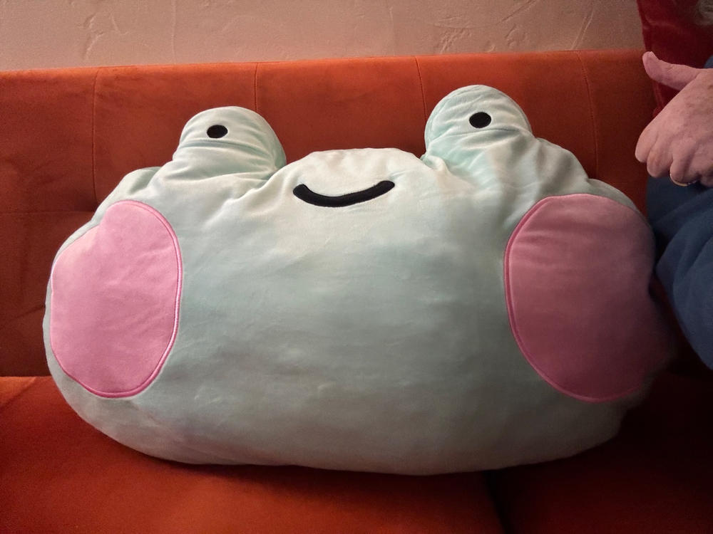 XL Ebbo Frog Plush - Customer Photo From Anonymous