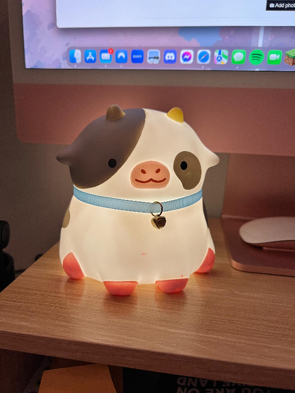 Cow Night Light - Customer Photo From Nik Isaac-Pictou