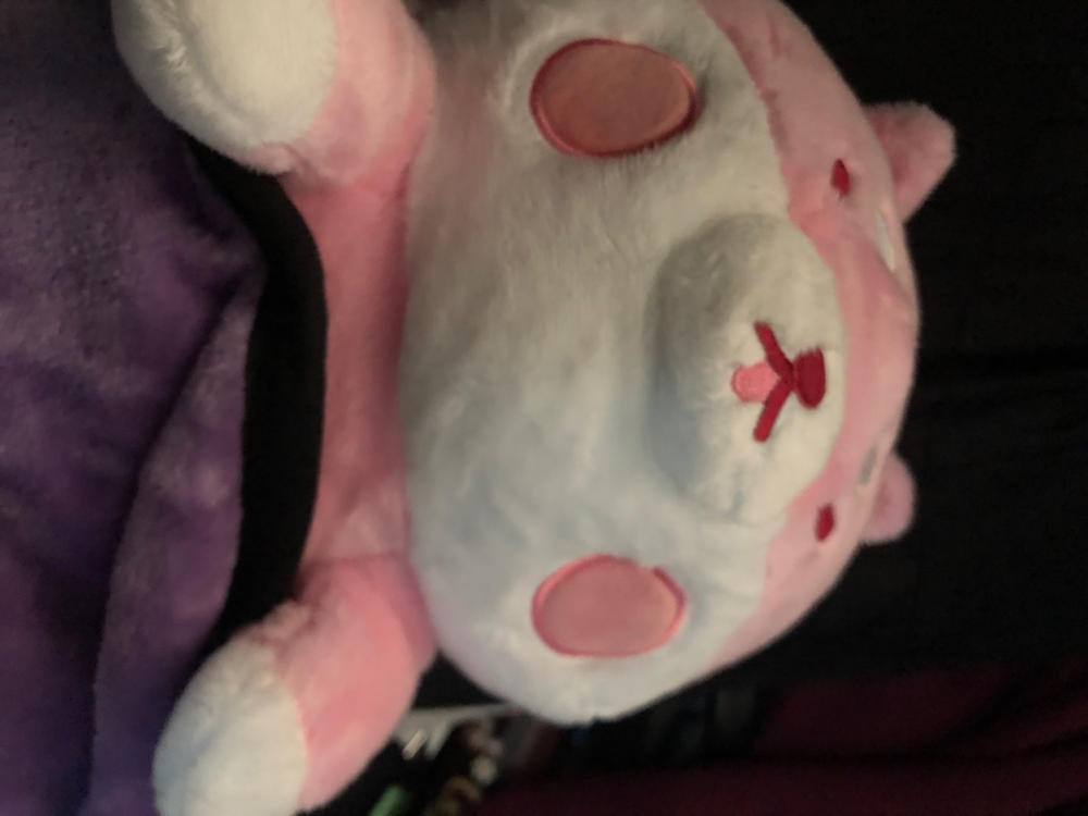 Strawberry Shiba Heatable Plush - Customer Photo From Anonymous