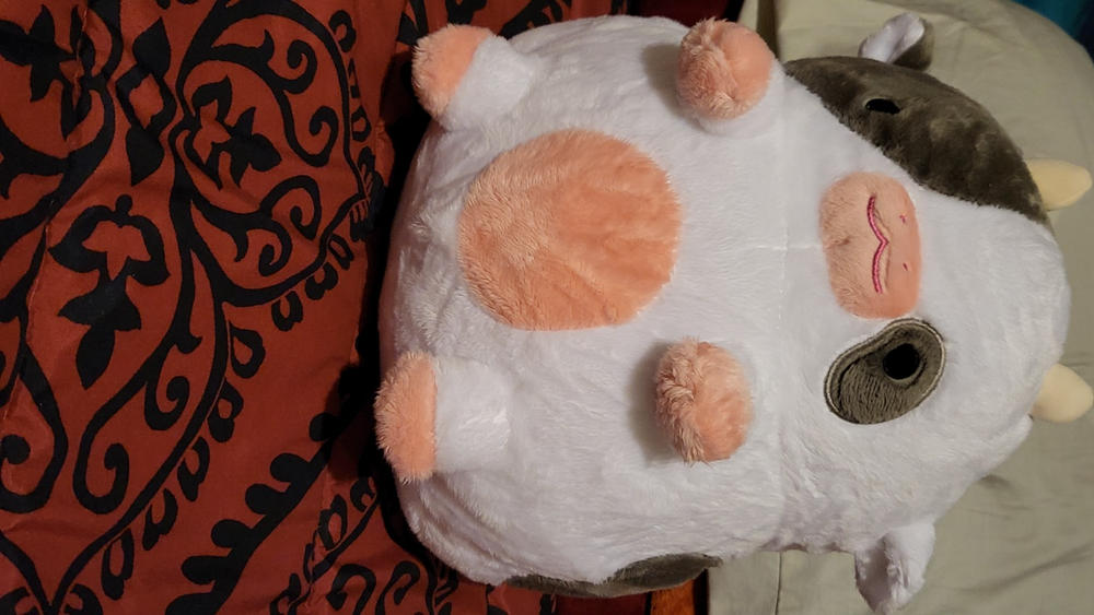 Cow Heatable Plush - Customer Photo From Anonymous