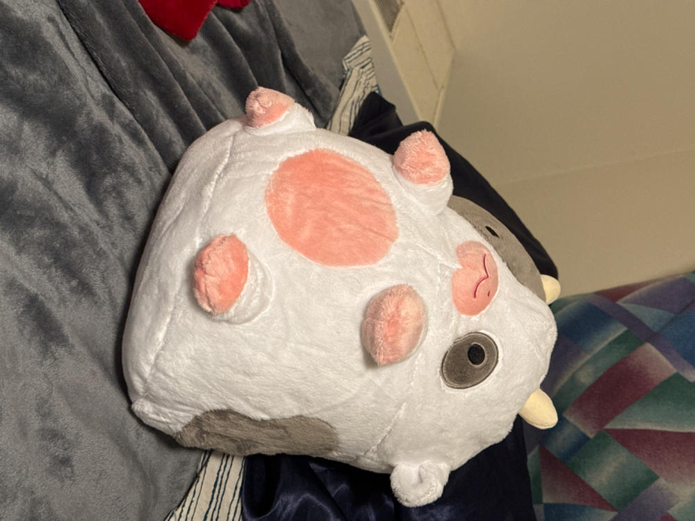 Cow Heatable Plush - Customer Photo From Anonymous