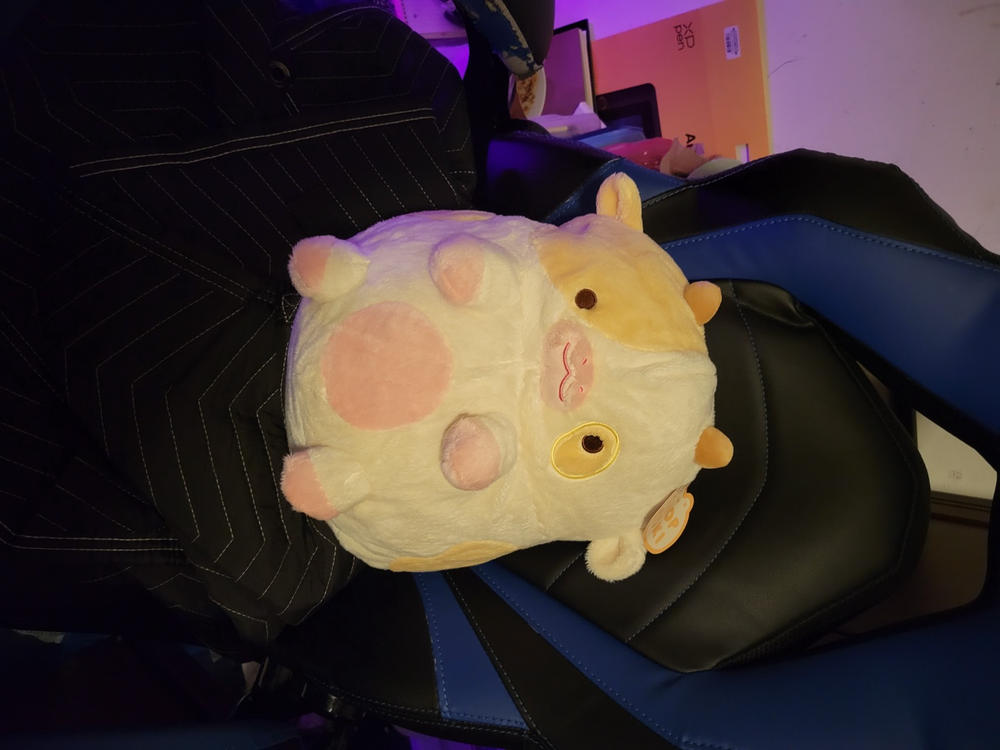 Strawberry Cow Heatable Plush - Customer Photo From Brianna H