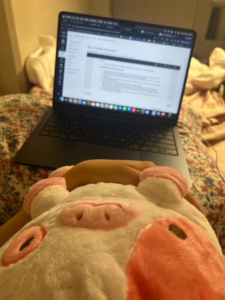 Strawberry Cow Heatable Plush - Customer Photo From Marta Vallejo