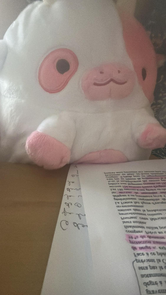 Strawberry Cow Heatable Plush - Customer Photo From Anonymous