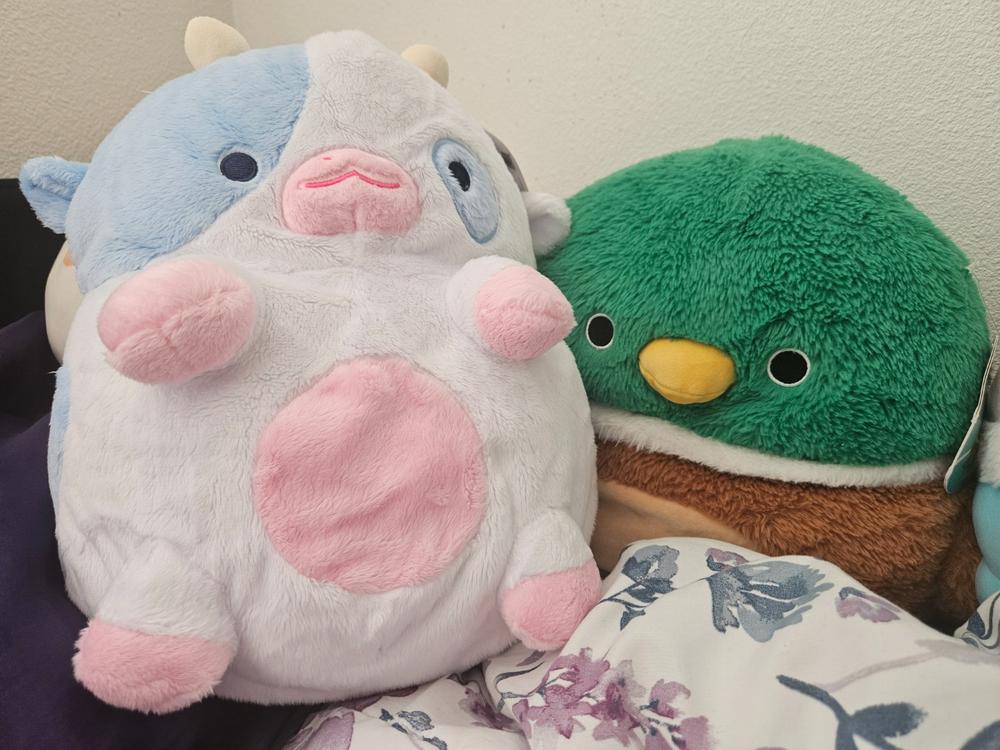 Blueberry Cow Heatable Plush - Customer Photo From Anonymous