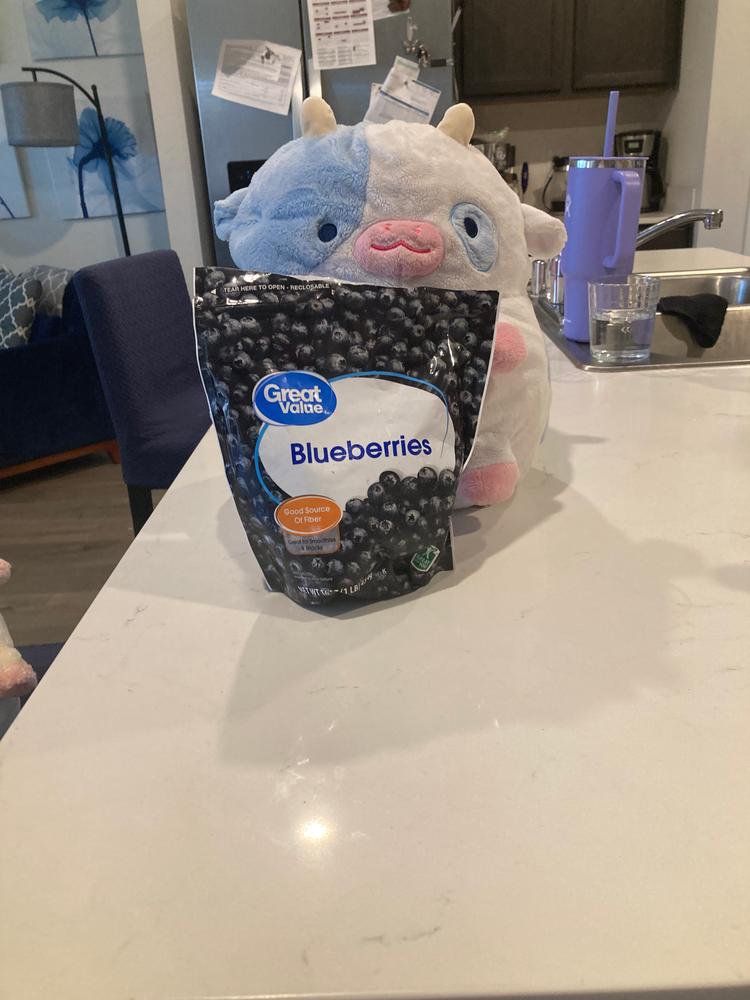 Blueberry Cow Heatable Plush - Customer Photo From Emily