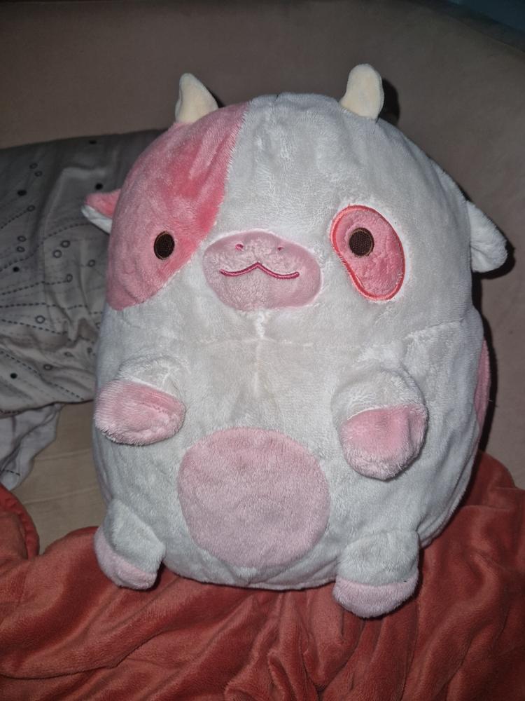 Blueberry Cow Heatable Plush - Customer Photo From Ariana