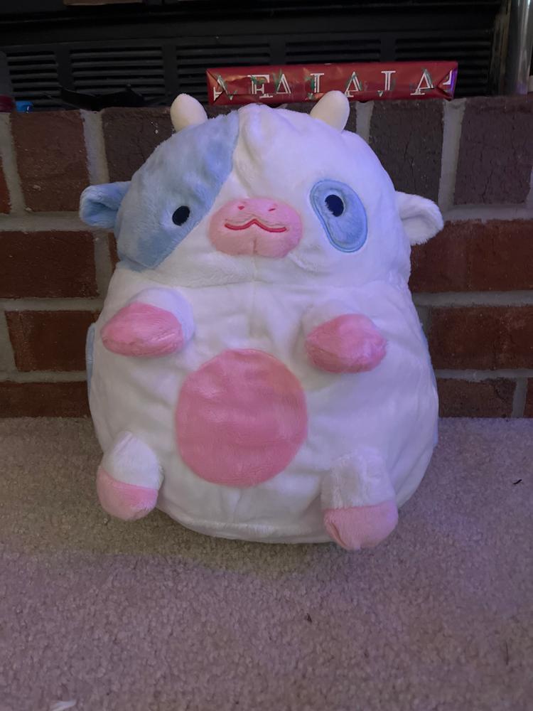 Blueberry Cow Heatable Plush - Customer Photo From Anonymous Person