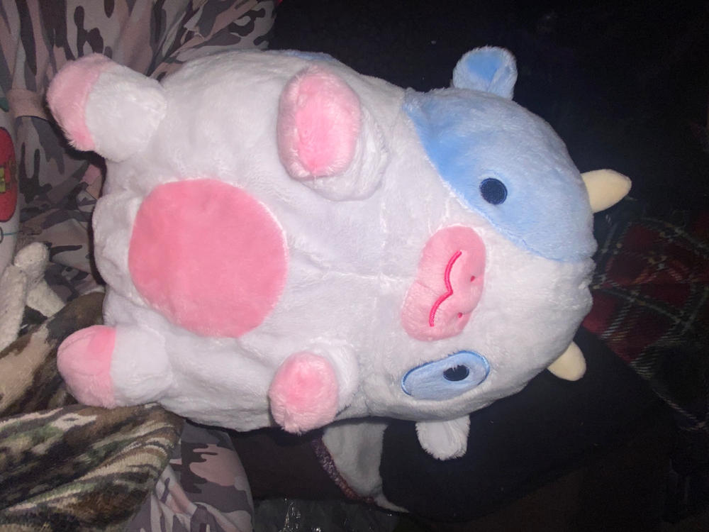 Blueberry Cow Heatable Plush - Customer Photo From Lake Maceyka