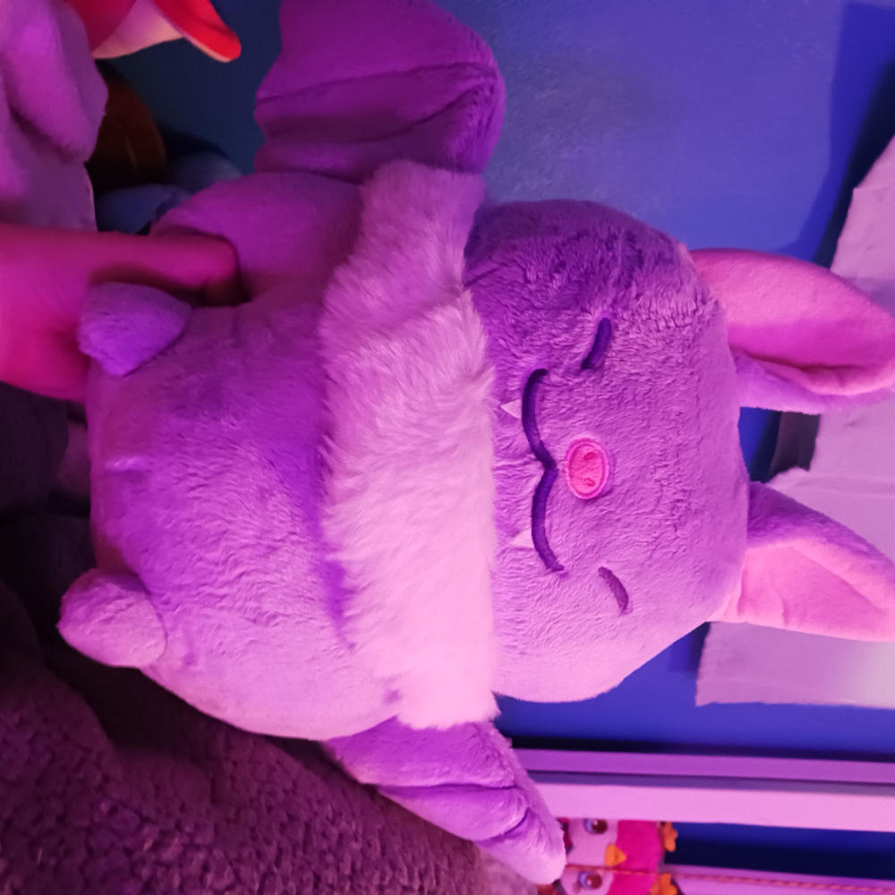 Bat Heatable Plush - Customer Photo From Kylie Reinitz