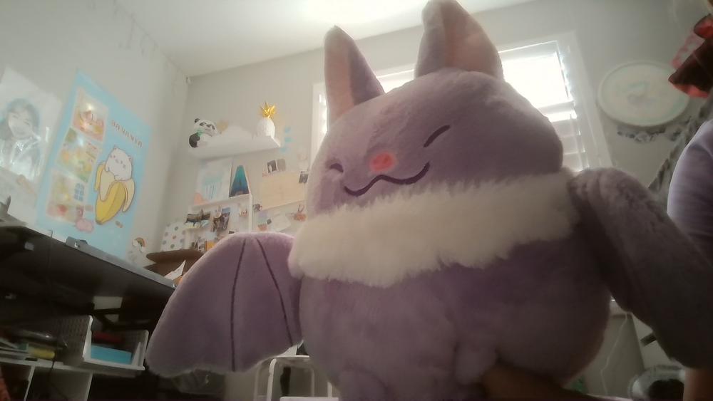 Bat Heatable Plush - Customer Photo From Aubrey