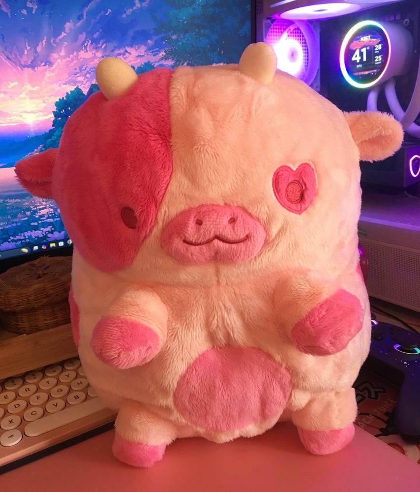 Cupid Cow Heatable Plush - Customer Photo From Ruth Jacobs