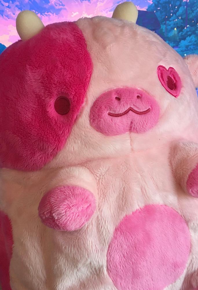 Cupid Cow Heatable Plush - Customer Photo From Ruth