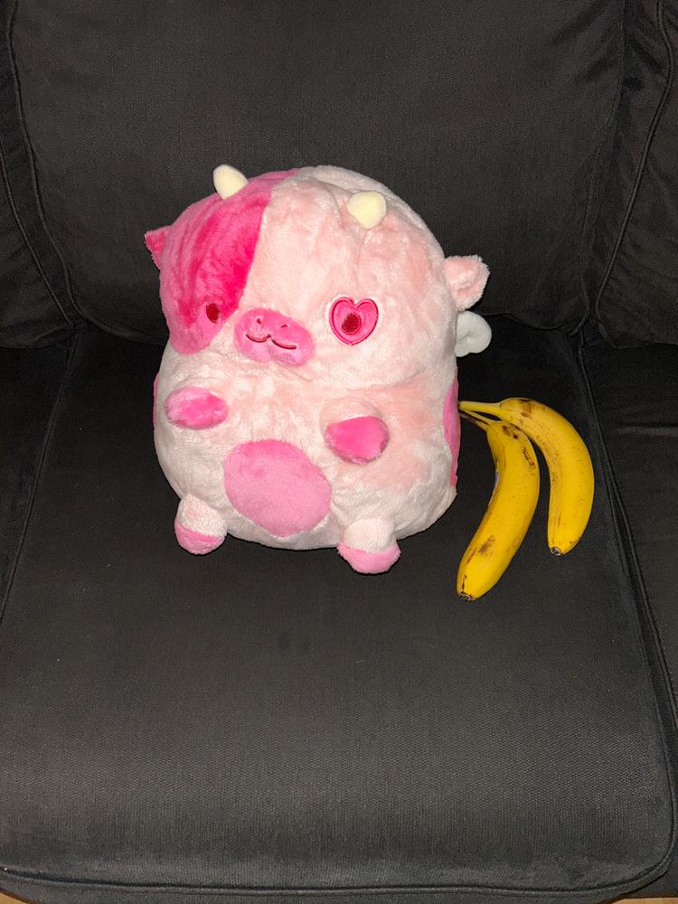 Cupid Cow Heatable Plush - Customer Photo From Nathan Estes