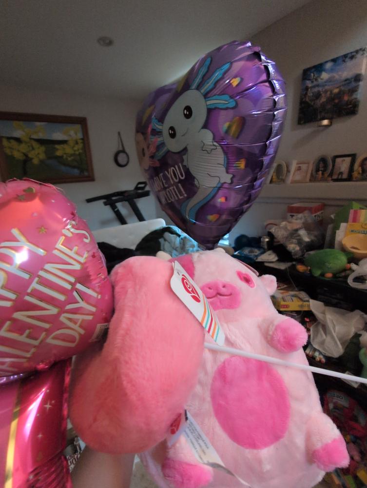 Cupid Cow Heatable Plush - Customer Photo From Dana ODell