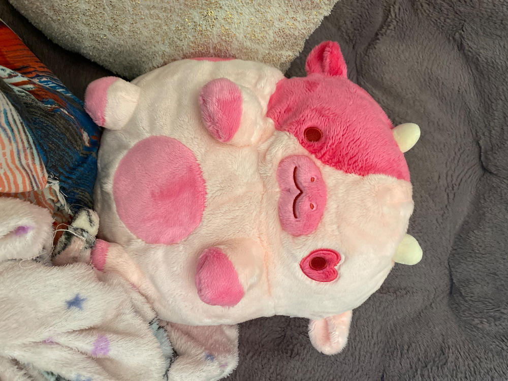 Cupid Cow Heatable Plush - Customer Photo From Caitlyn Sparks