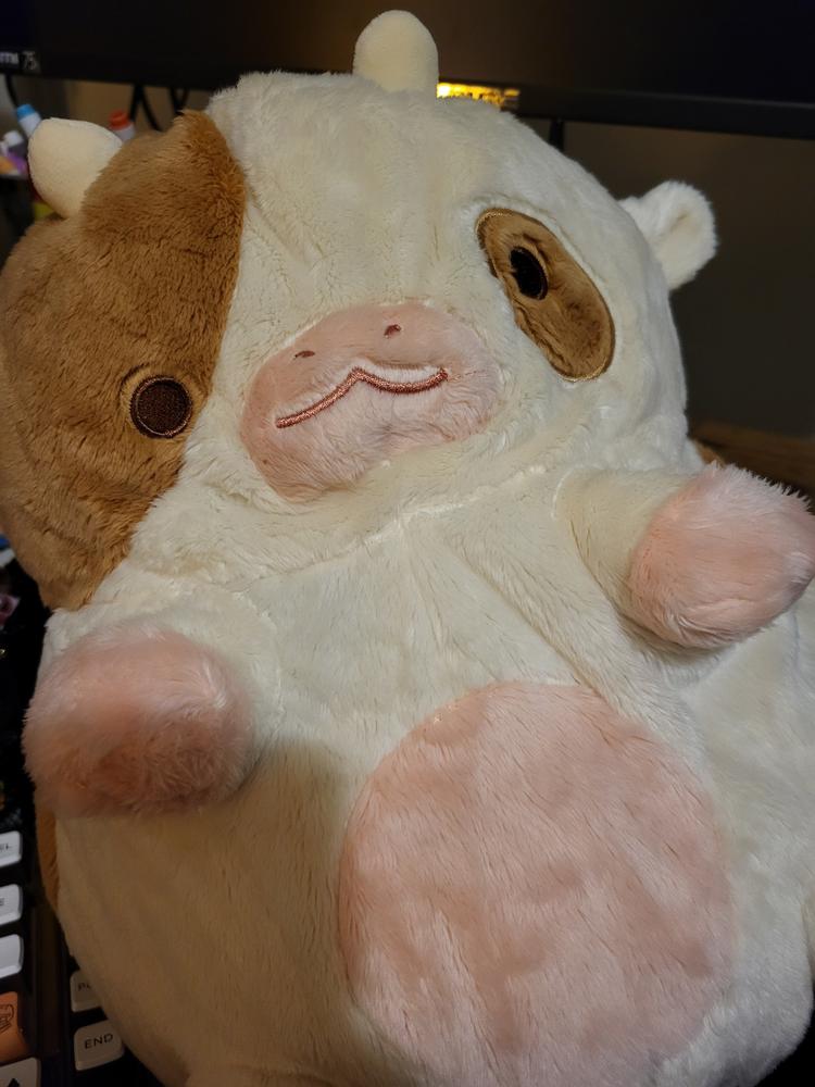 Chocolate Cow Heatable Plush - Customer Photo From Kelsey