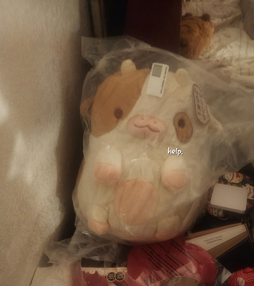 Chocolate Cow Heatable Plush - Customer Photo From Anonymous