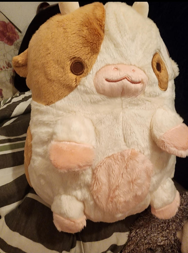 Chocolate Cow Heatable Plush - Customer Photo From Anonymous