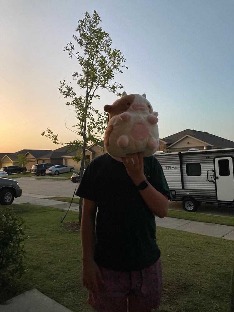 Chocolate Cow Heatable Plush - Customer Photo From Emily