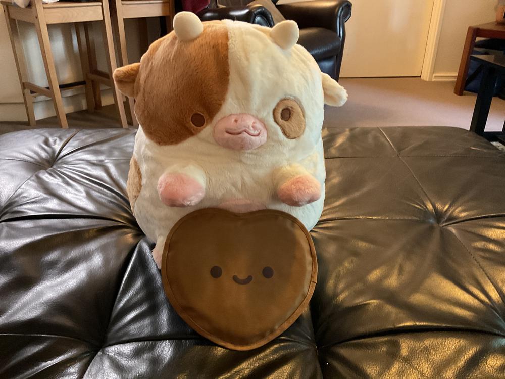 Chocolate Cow Heatable Plush - Customer Photo From Anonymous