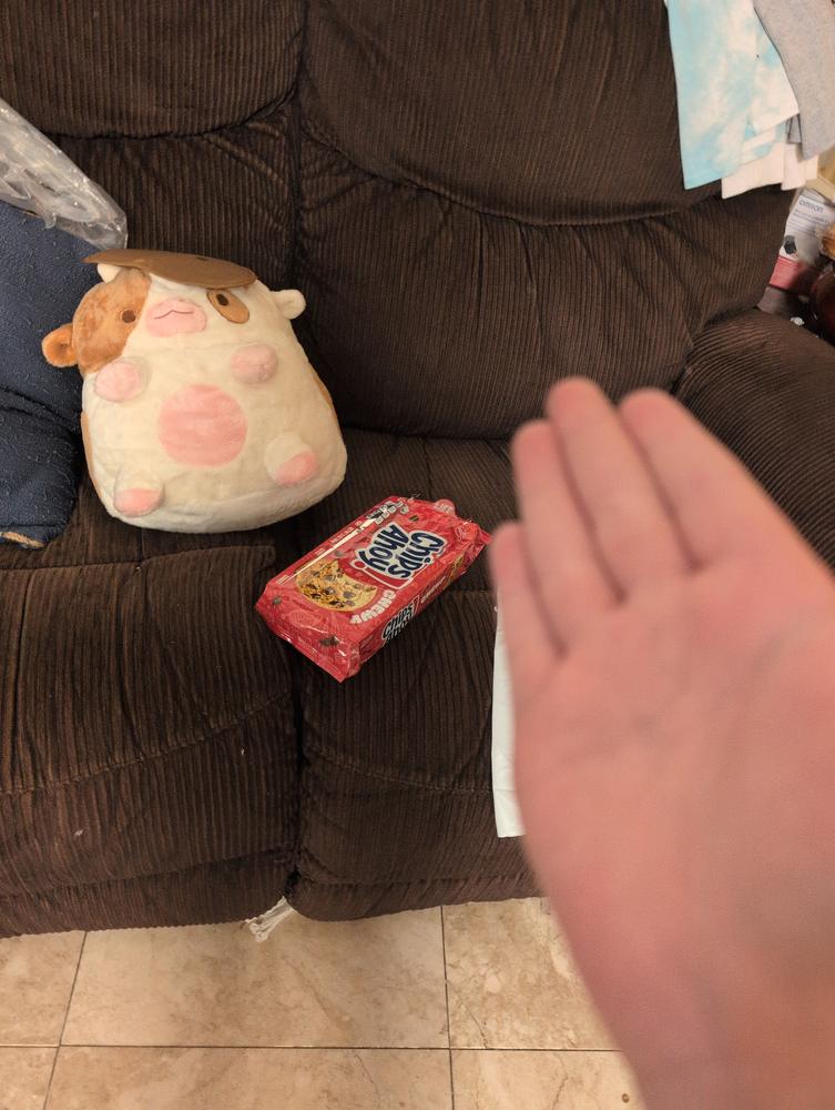 Chocolate Cow Heatable Plush - Customer Photo From Dana ODell