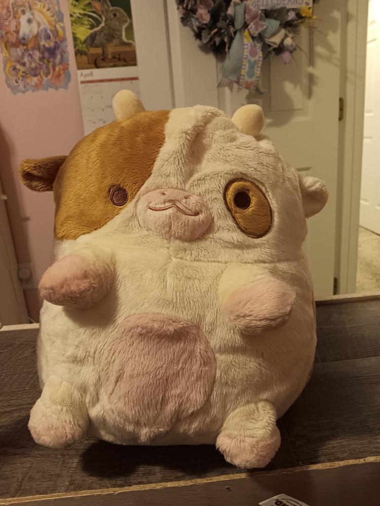Chocolate Cow Heatable Plush - Customer Photo From Kaitlyn