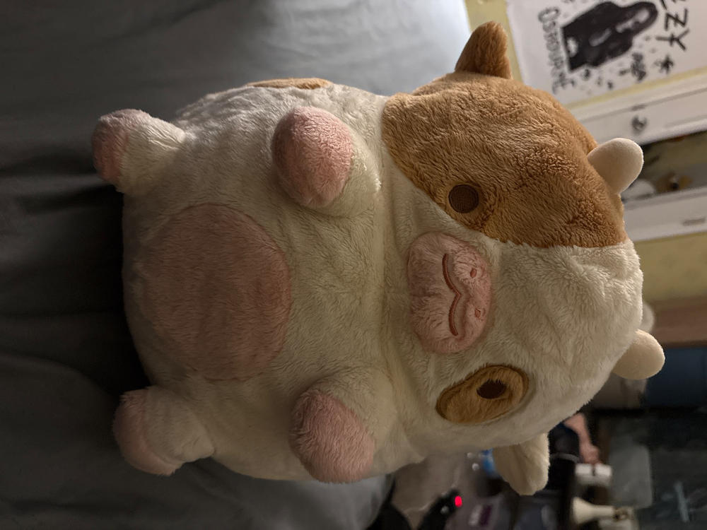 Chocolate Cow Heatable Plush - Customer Photo From Kaelyn Holland