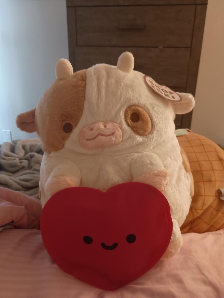 Chocolate Cow Heatable Plush - Customer Photo From Eli