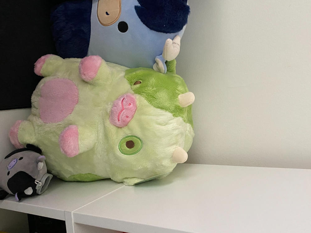 Pickle Cow - Customer Photo From Summer Allison