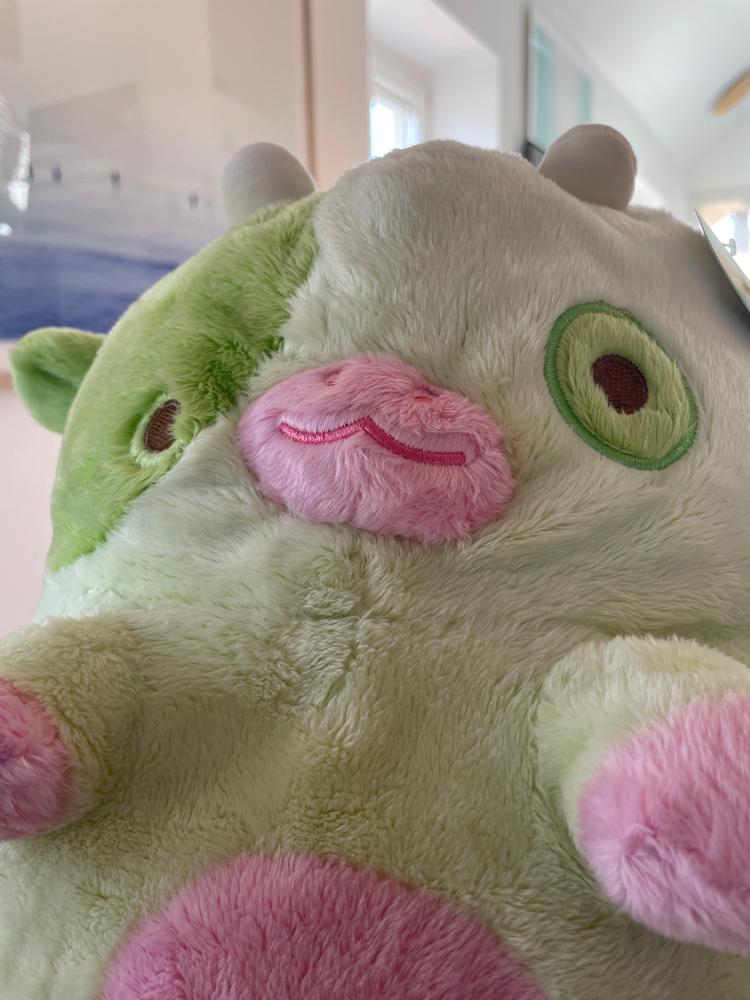 Pickle Cow - Customer Photo From H