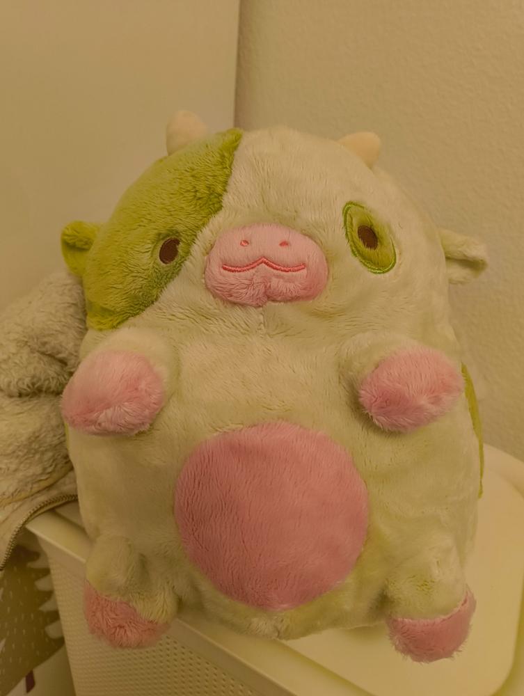 Pickle Cow - Customer Photo From Gaëlle Sigrist