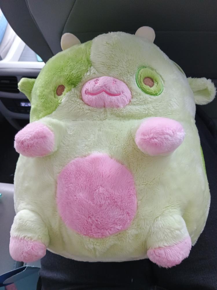 Pickle Cow - Customer Photo From Addison Green