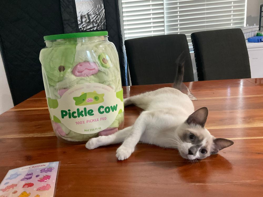 Pickle Cow - Customer Photo From Joanne Ballinger