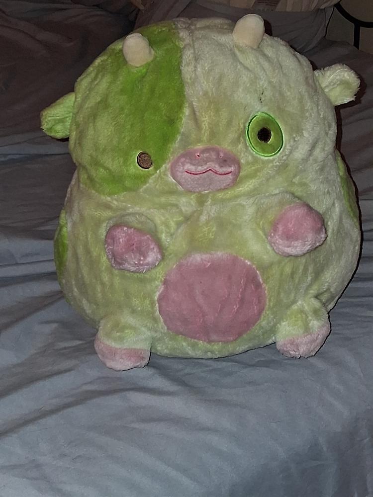 Pickle Cow - Customer Photo From Amber Abele