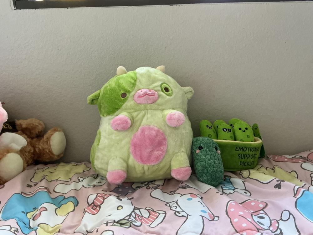 Pickle Cow - Customer Photo From Açaí Bowl