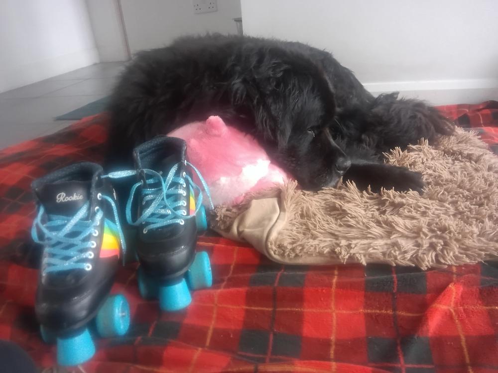 Strawberry Bat Heatable Plush - Customer Photo From Roisinawesome