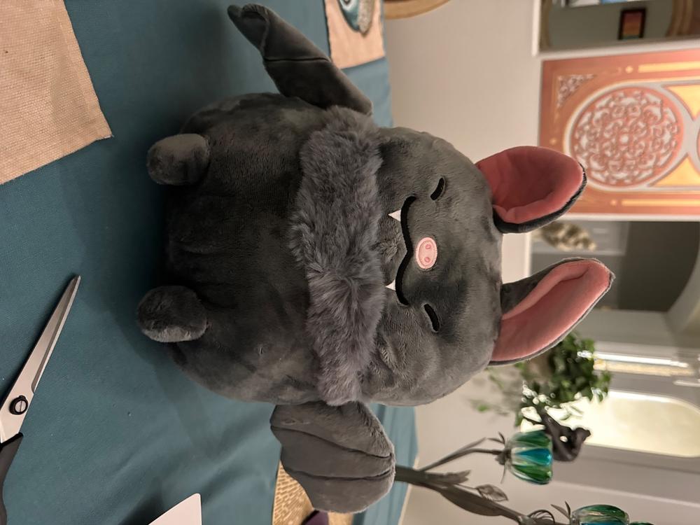 Blackberry Bat Heatable Plush - Customer Photo From Julianna Pritchett