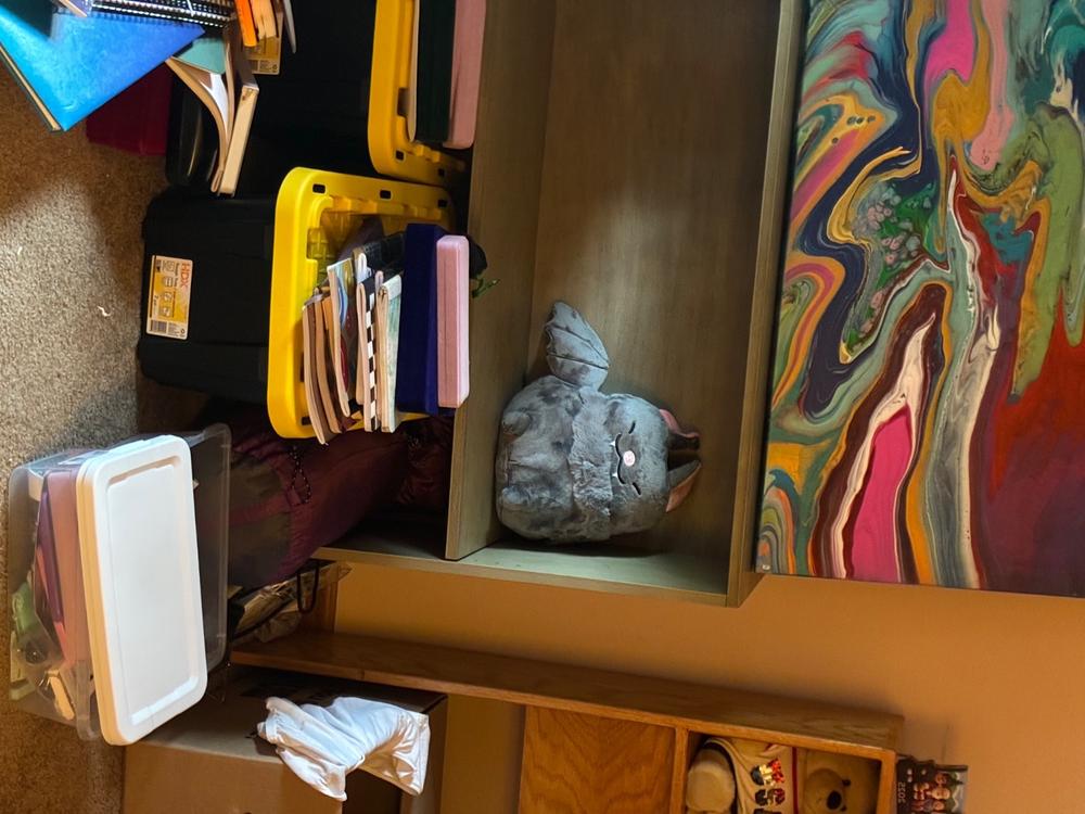 Blackberry Bat Heatable Plush - Customer Photo From Anonymous