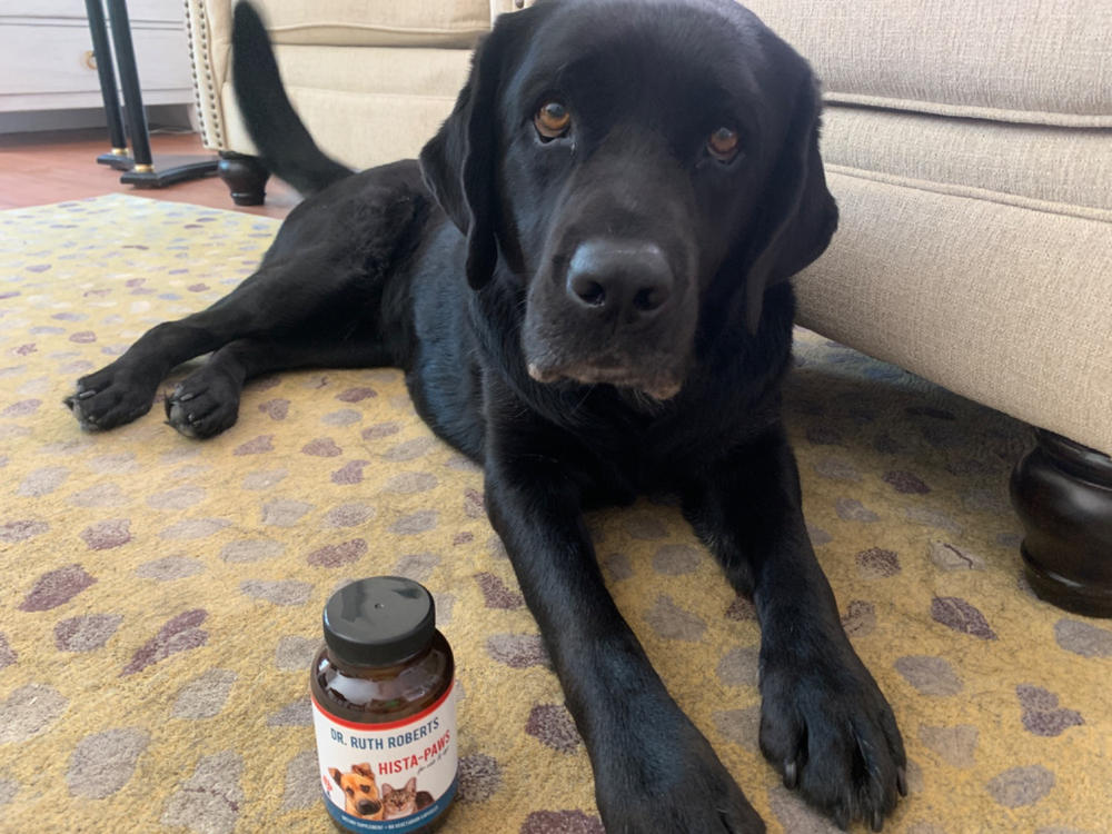 Hista Paws - Herbal Allergy Supplement for Cats and Dogs - Customer Photo From Pat Votava