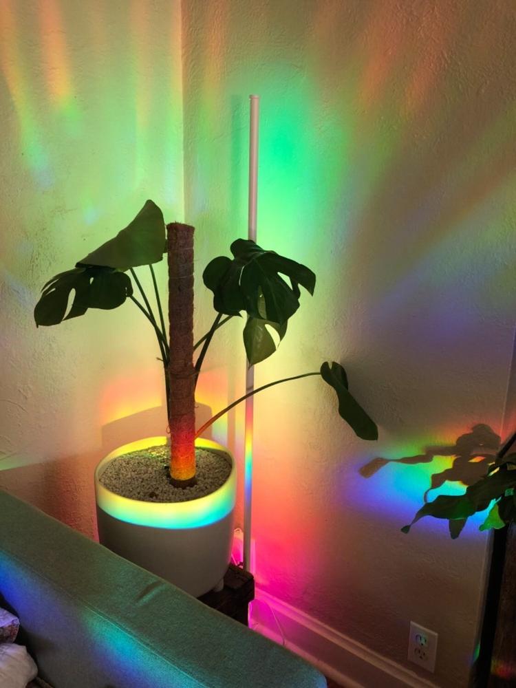 Nova Floor Lamp - Customer Photo From Justin Leszcz