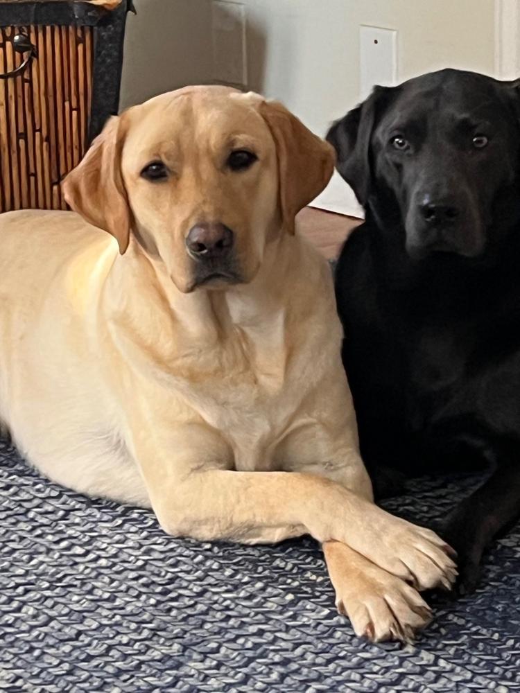 Allergy SoftSupps® - Customer Photo From Anonymous