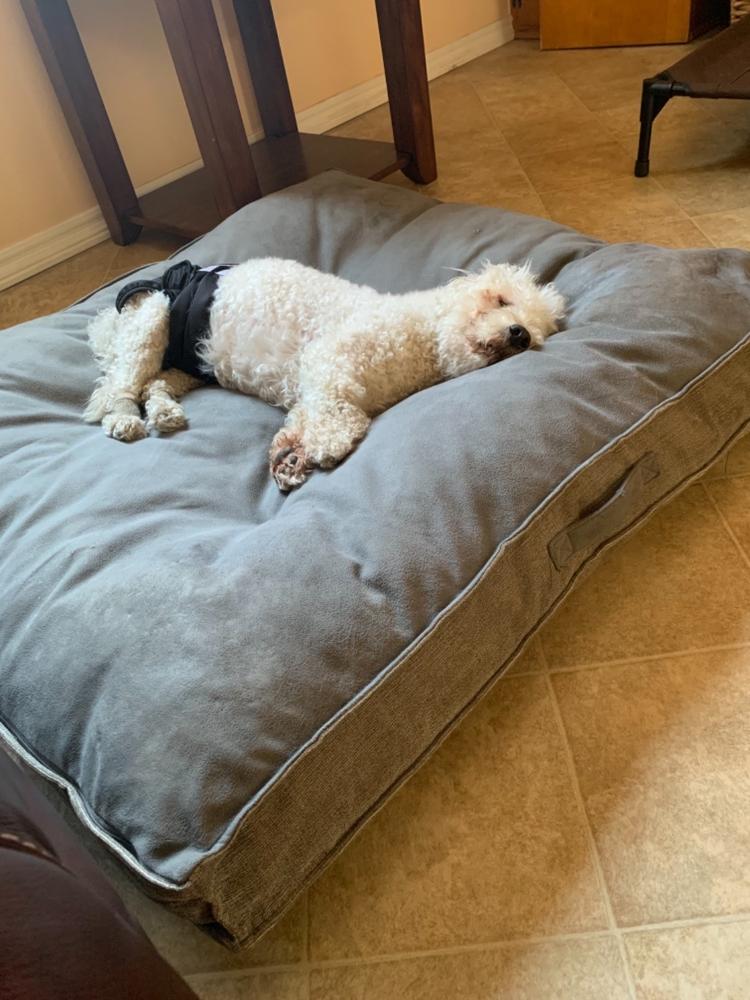 Extendrs® (5-Pack) - Customer Photo From Shanel Shea