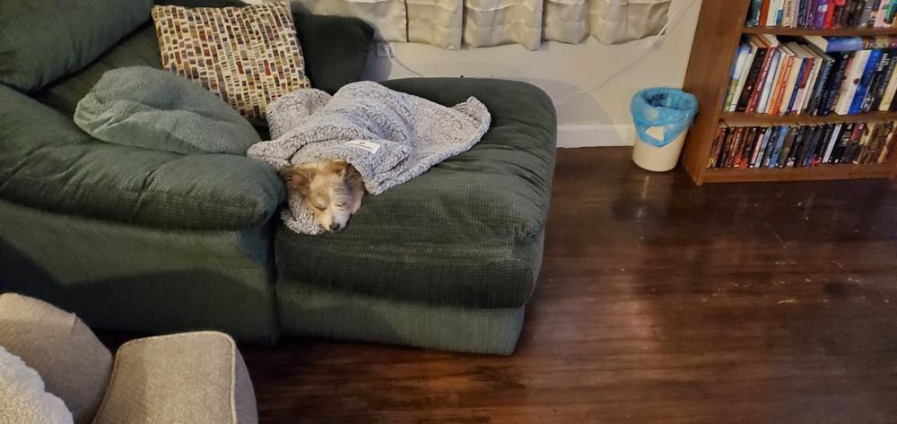 Pet Blanket - Customer Photo From Wanda G.