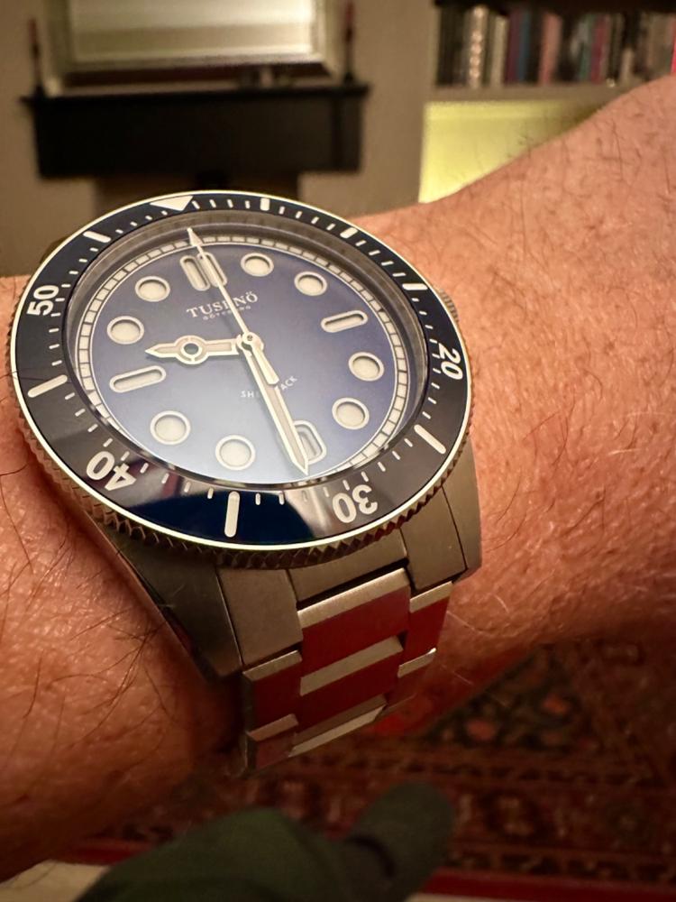 Borealis ダイバーズウォッチ Bull Shark V2 ユーズド美品 Borealis Bull Shark V2 Black Snow Pattern Dial Snow Flake