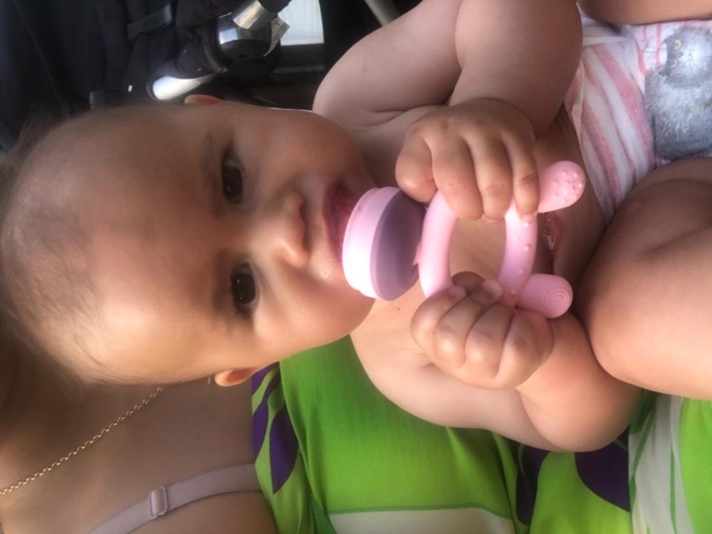 Fresh Food Feeder And Teether Haakaa