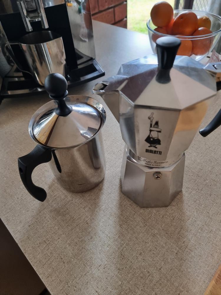 Ten Mile Milk Frother - Customer Photo From Cheryl K.