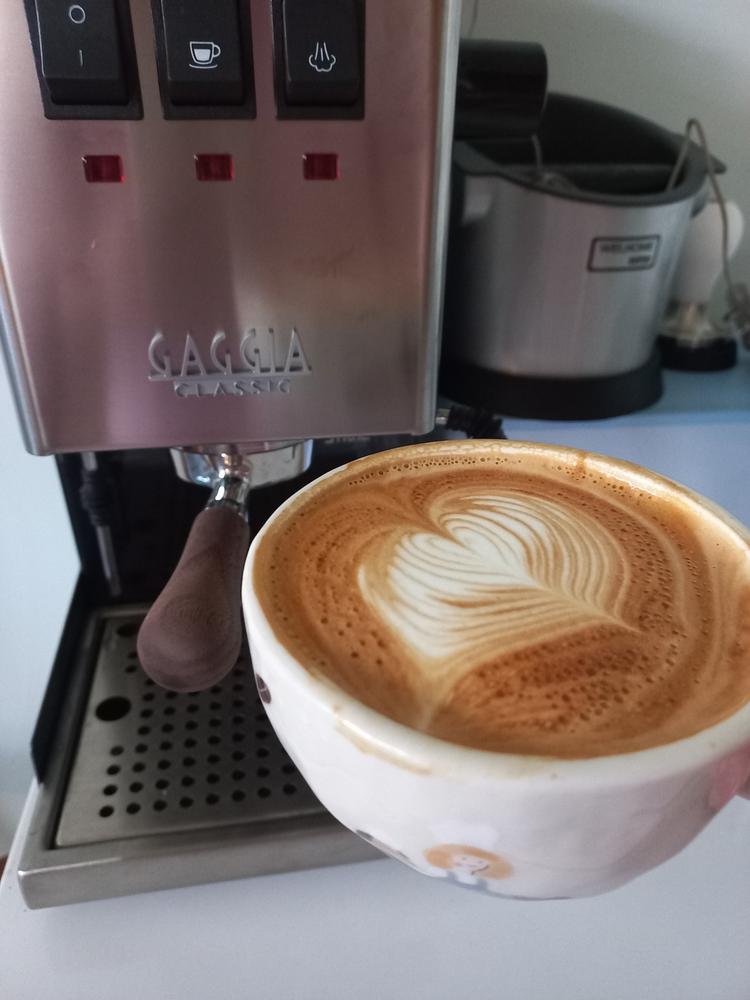 Gaggia Classic Evo Coffee Machine - Customer Photo From Susie L.